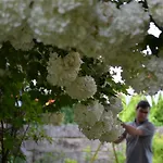 Le Jardin Secret