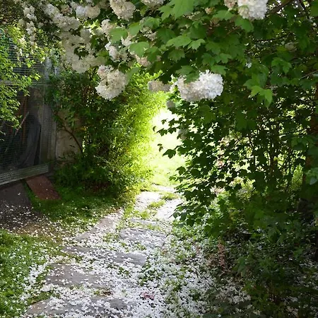 Couette-café Le Jardin Secret